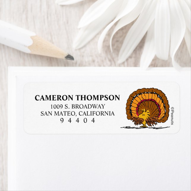 cacahuètes | Soyez reconnaissants Woodstock Turqui (En situation)