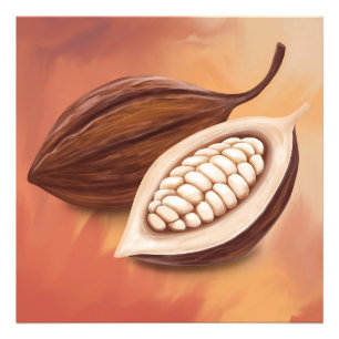 Cacao Pod  Photo Print