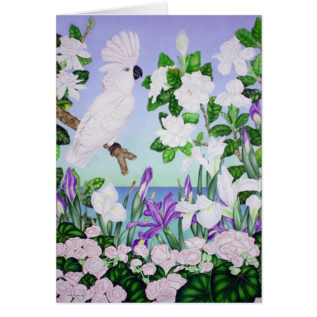 Cacatoès violet (Devant)