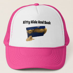 Cachage Kitty Dans Boîte De Chaussure, Casquette D