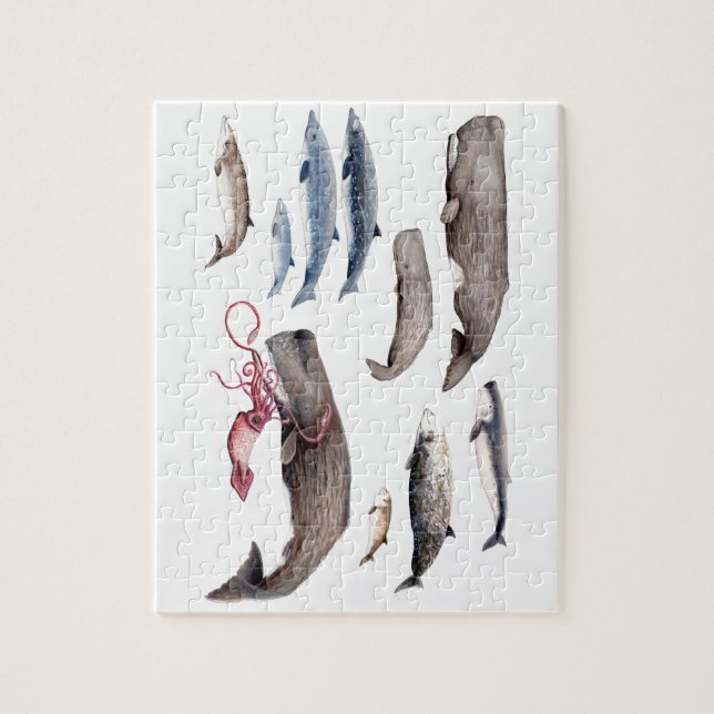 Cachalote and zifios: Whales of the depths Jigsaw Puzzle (Vertical)
