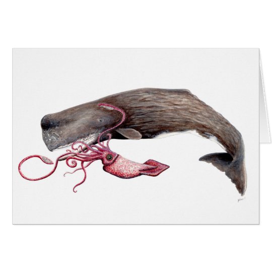 Cachalote card and giant calamary