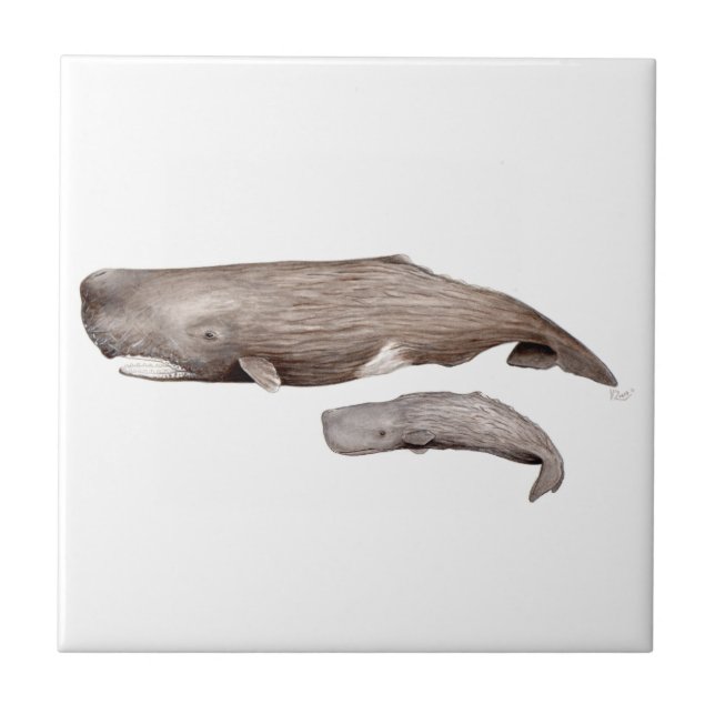 Cachalote, mother and young tile (Front)