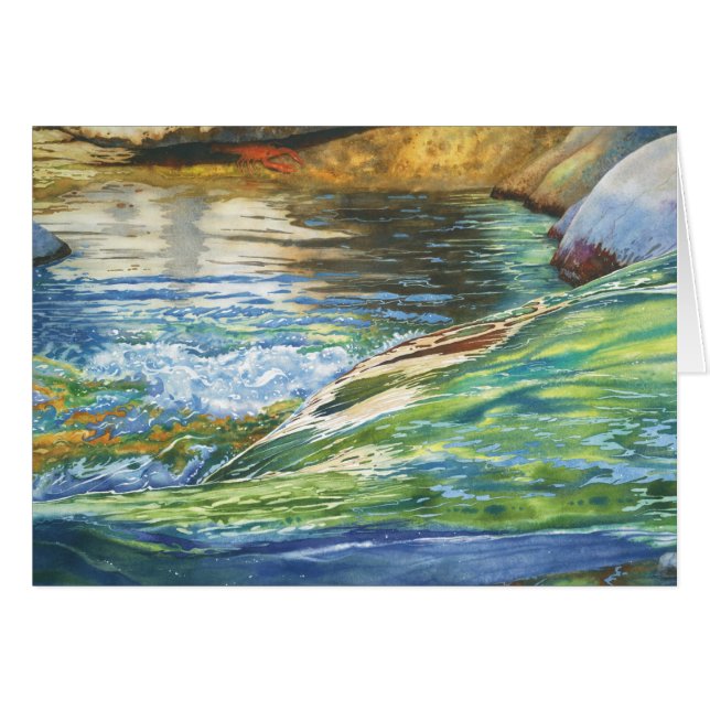 Cache-cache (Devant horizontal)