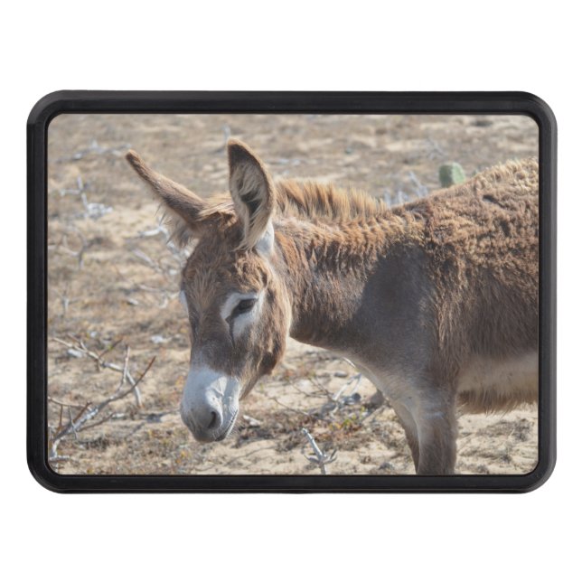 Cache Pour Crochet De Remorquage Âne adorable (Devant)