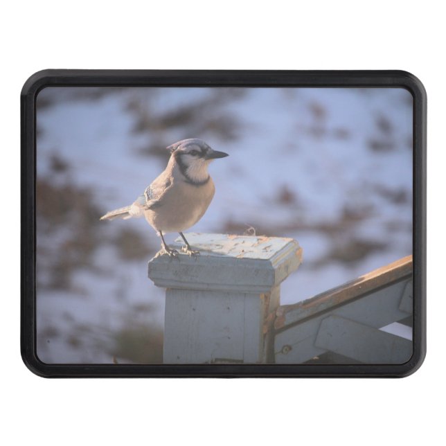 Cache Pour Crochet De Remorquage Blue Jay (Devant)