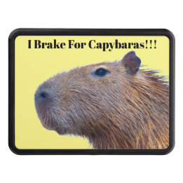 Cache Pour Crochet De Remorquage Capybara