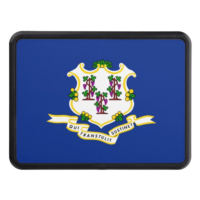Cache Pour Crochet De Remorquage Conception de l'indicateur d'état Connecticut (Devant)