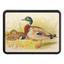 Couvercle Hitch pour canard Mallard