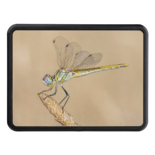 Cache Pour Crochet De Remorquage Hitch pour dragonfly Insect Femme (CC BY 4.0)