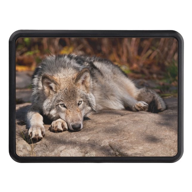 Cache Pour Crochet De Remorquage Loup de bois (Devant)