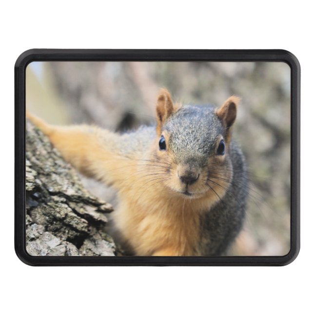 Cache Pour Crochet De Remorquage M. Cutie (Devant)