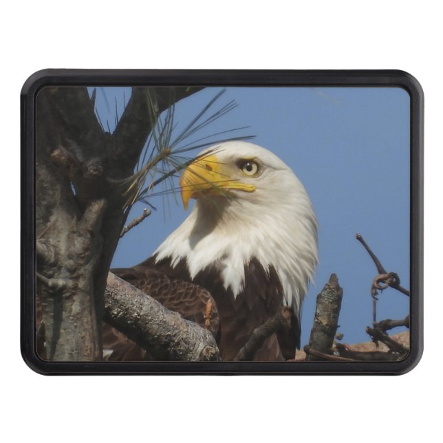Cache Pour Crochet De Remorquage Majestic Bald Eagle Fermer (Devant)