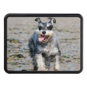 Cache Pour Crochet De Remorquage mini schnauzer en fonctionnement
