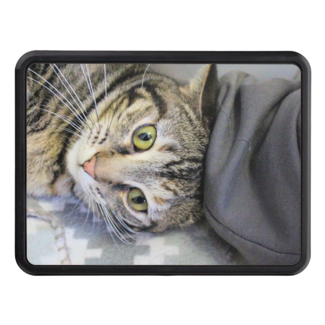 Cache Pour Crochet De Remorquage Tigre (Devant)