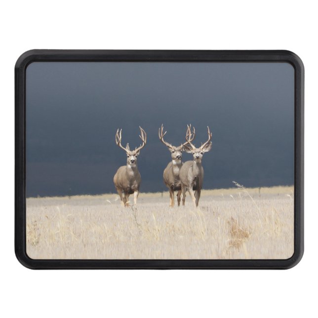 Cache Pour Crochet De Remorquage Trois Mule Deer Bucks (Devant)
