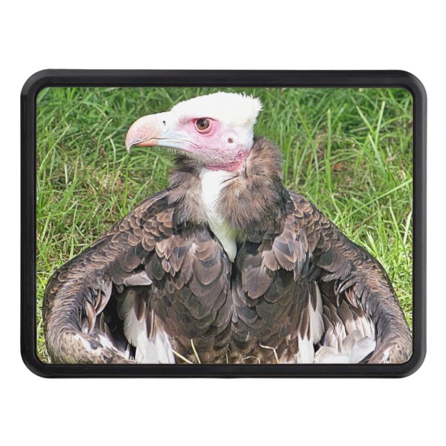 CACHE POUR CROCHET DE REMORQUAGE VULTURE (Devant)