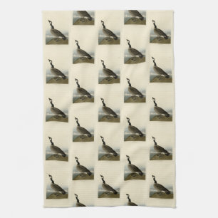 Cackling Goose from Audubon's Birds of America  Kitchen Towel