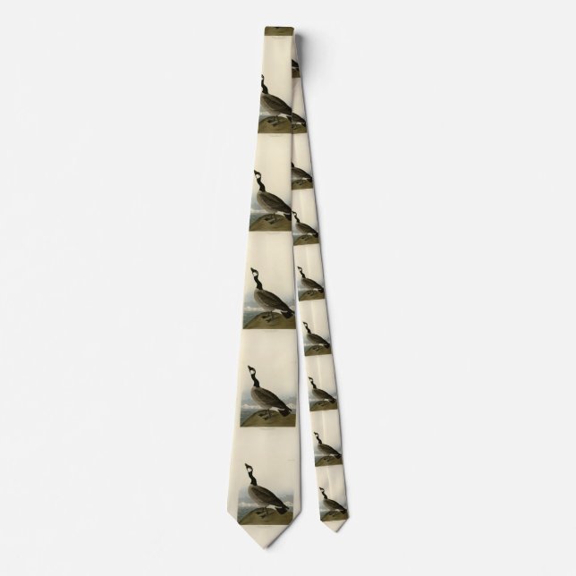 Cackling Goose from Audubon's Birds of America  Tie (Front)