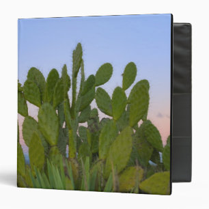 Cacti and sisal in Dry Forest Binder