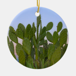 Cacti and sisal in Dry Forest Ceramic Ornament