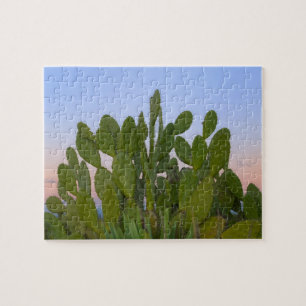 Cacti and sisal in Dry Forest Jigsaw Puzzle