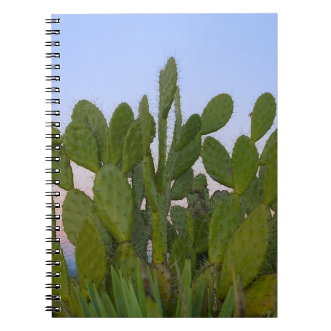 Cacti and sisal in Dry Forest Notebook (Front)