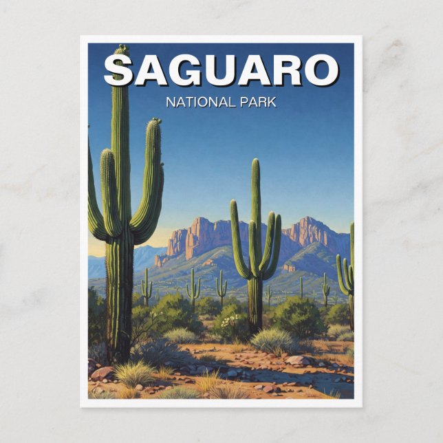 Cacti at Saguaro National Park Souvenir Postcard (Front)