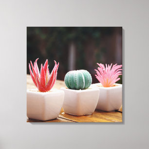 Cacti Canvas Print