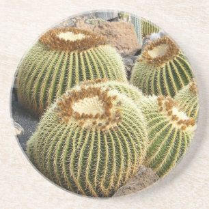 Cacti coaster