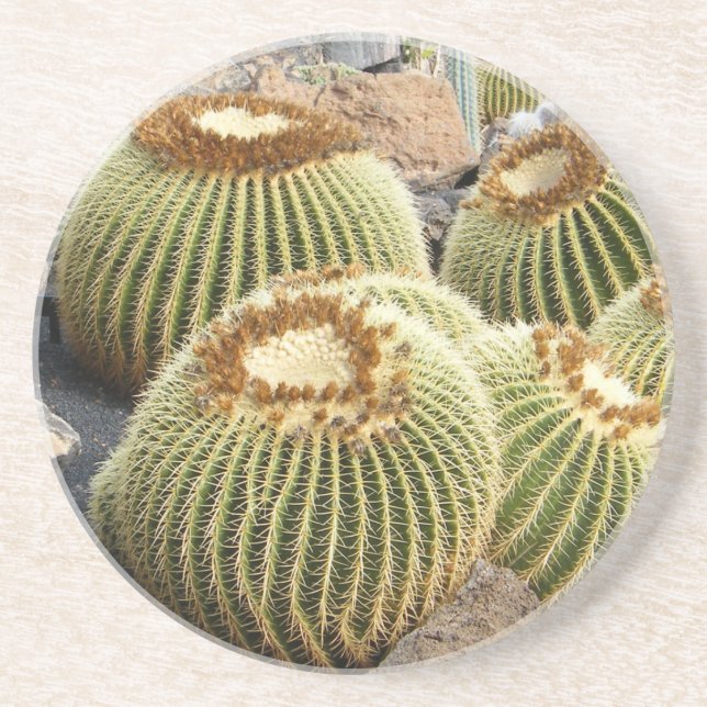 Cacti coaster (Front)