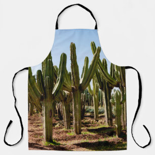 Cacti garden. Green tall cacti and succulents grow Apron