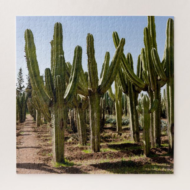 Cacti garden, tropical desert landscape. jigsaw puzzle (Vertical)
