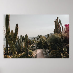CACTI HILL POSTER