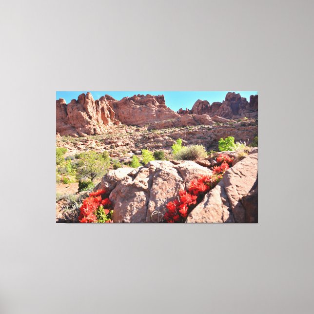 Cacti in Bloom Canvas Print (Front)