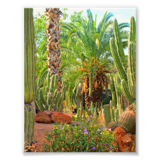 Cacti, Palms and Flowers - Photo Print (5x7) (Front)