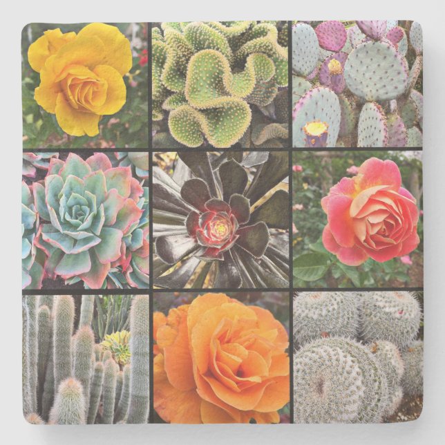 Cacti Rose Flowers Photography Collage Modern Bold Stone Coaster (Front)