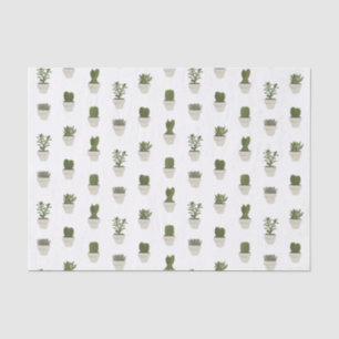 Cacti & Succulent - white - choose your background Tissue Paper
