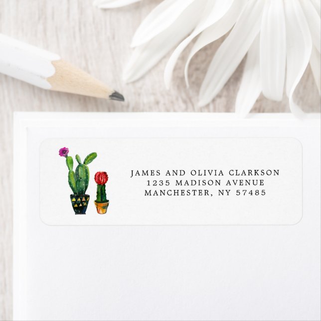 Cacti Watercolor Family (Insitu)
