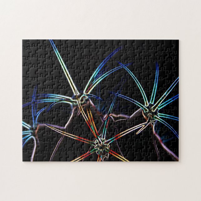 Cactus 1 11x14 252pc jpcna jigsaw puzzle (Horizontal)