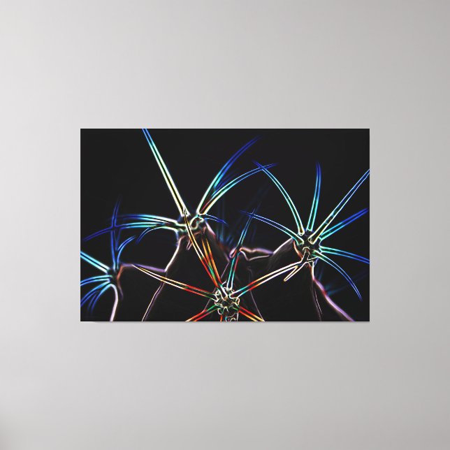 Cactus 1 60x40 (150x100cm) waccna canvas print (Front)