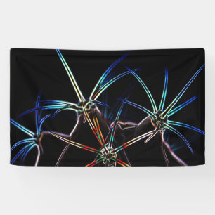 Cactus 1 bnra banner