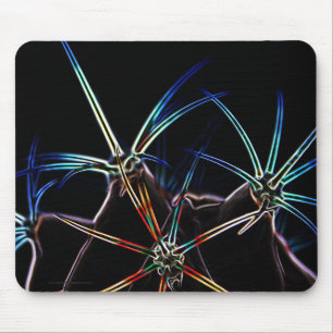 Cactus 1 mpcna mouse pad