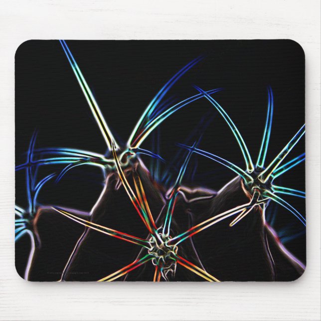 Cactus 1 mpcnm mouse pad (Front)