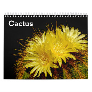 Cactus 2025 calendar