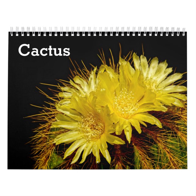 Cactus 2026 calendar (Cover)