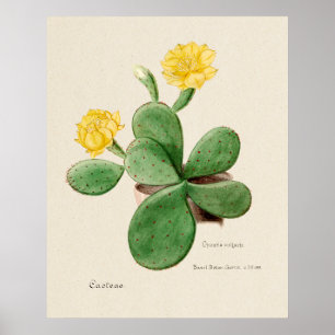 Cactus 2 poster