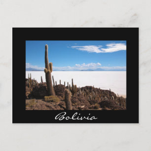 Cactus à la carte postale de la frontière noire Sa