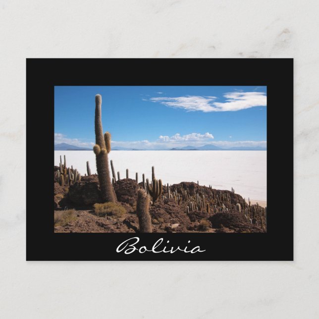 Cactus à la carte postale frontière noire Salar de (Devant)