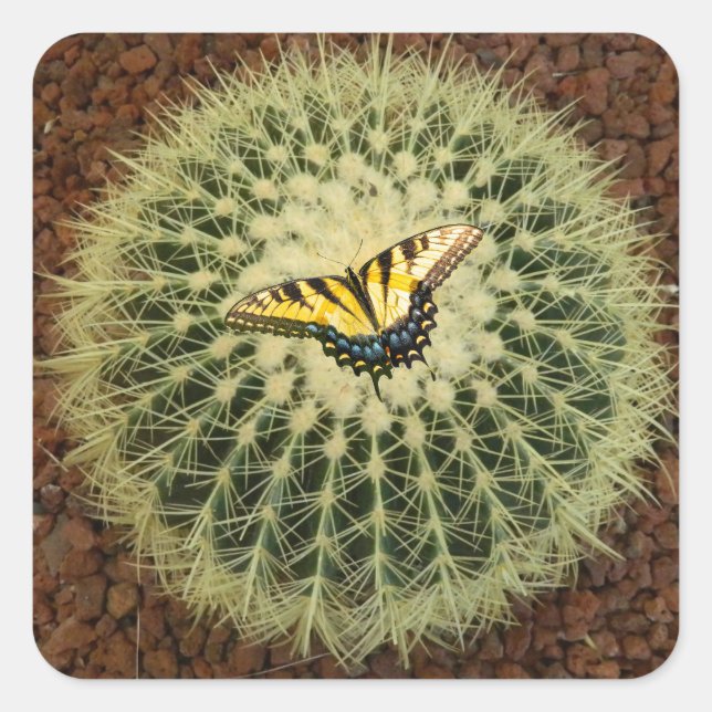 Cactus and butterfly square sticker (Front)